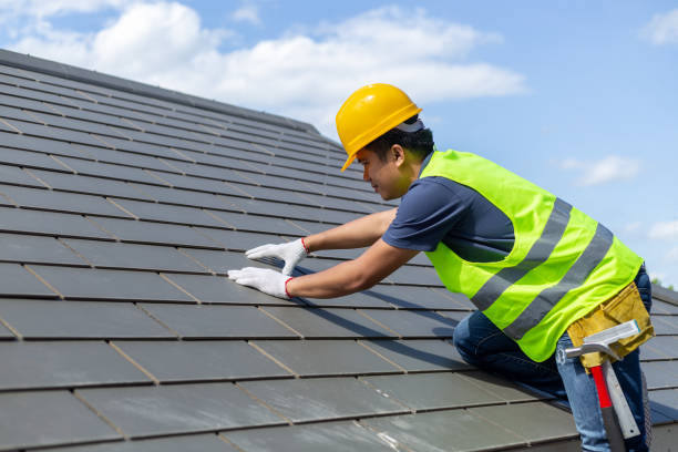 Best Roof Gutter Cleaning  in Bassett, VA